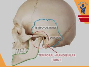 اختلال مفصل گیجگاهی فکی ( TMJ ) /فیزیوتراپی در شرق تهران