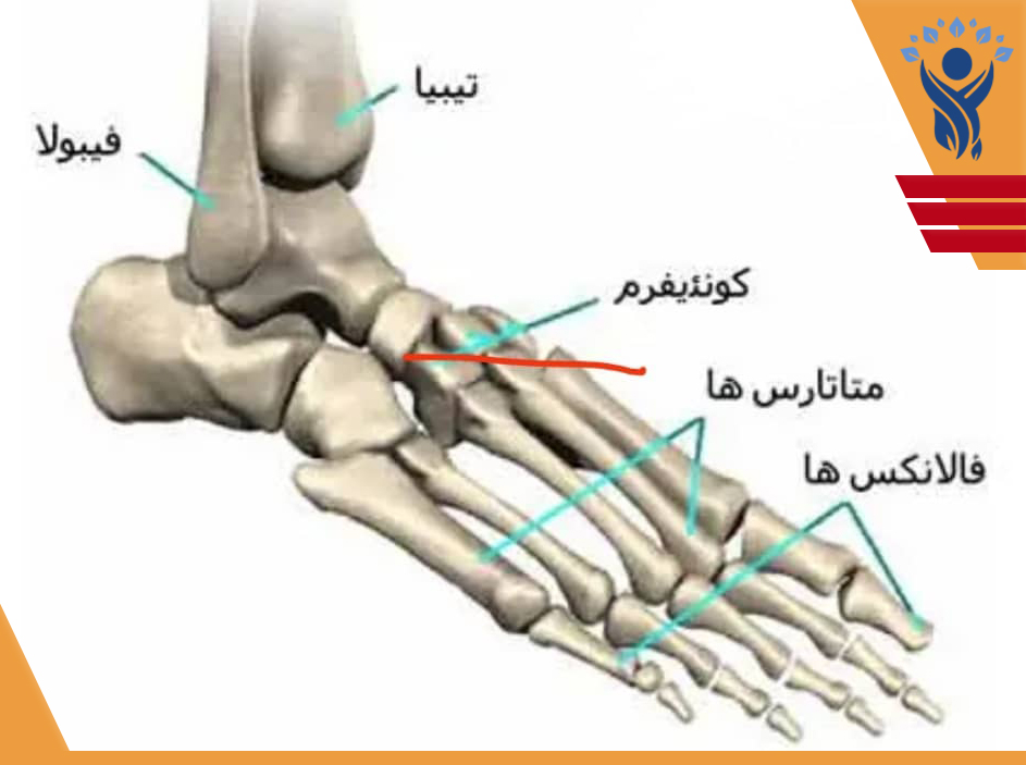 کف پای صاف /فیزیوتراپی در تهرانپارس