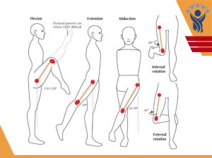 محدودیت حرکتی در مفاصل /فیزیوتراپی در فلکه سوم تهرانپارس